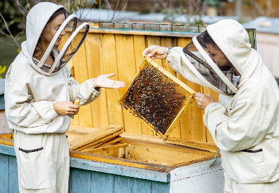 Yöresel Balımızı Nasıl Üretiyoruz?